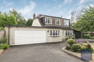 Photo 5- click for photo gallery